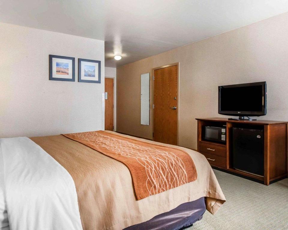 Comfort Inn Salida - image 7