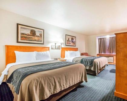 Comfort Inn & Suites Salinas - image 13