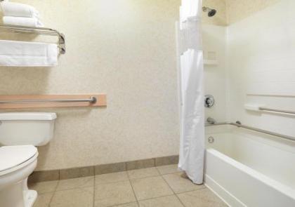 Crystal Inn Hotel & Suites - Salt Lake City - image 3