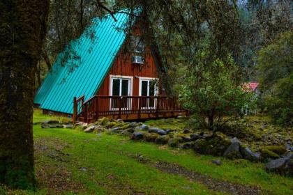 Rustic Redwood Retreat - image 3