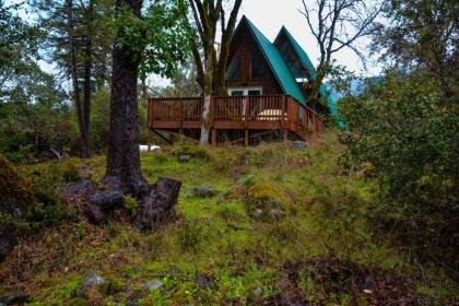 Rustic Redwood Retreat - image 4