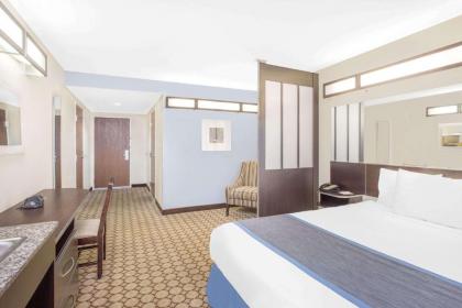 Microtel Inn and Suites San Angelo - image 2