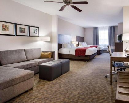 Comfort Suites San Angelo near University - image 4