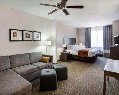 Comfort Suites San Angelo near University - image 5