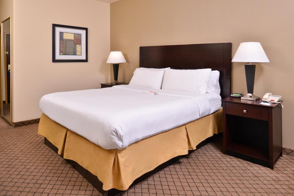 Holiday Inn Express Hotel & Suites San Antonio NW-Medical Area an IHG Hotel - image 4