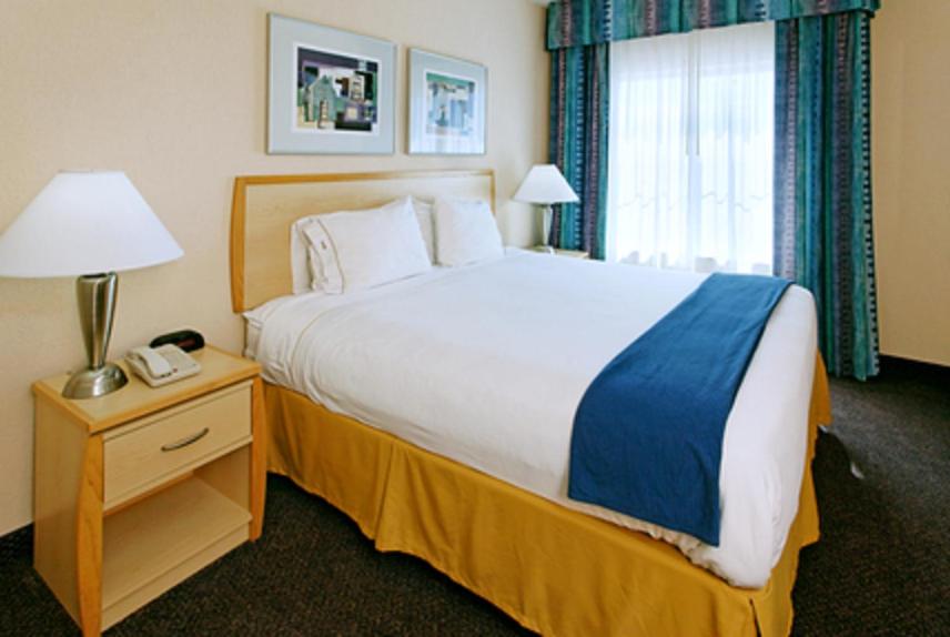 Holiday Inn Express Hotel & Suites San Antonio - Rivercenter Area an IHG Hotel - image 3