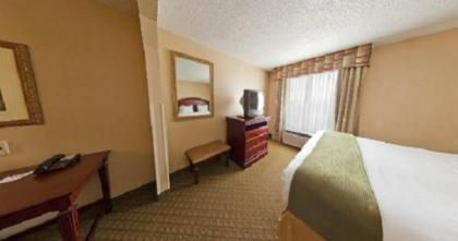 Holiday Inn Express Hotel & Suites San Antonio - Rivercenter Area an IHG Hotel - image 4