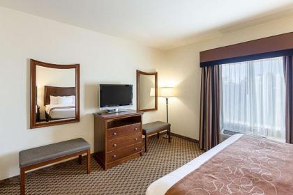 Comfort Suites San Antonio North - Stone Oak - image 4