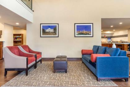 Comfort Suites Airport North - image 4