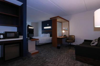 Springhill Suites by Marriott San Antonio Alamo Plaza/Convention Center - image 4