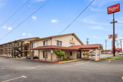 Red Roof Inn San Antonio I-35 North - image 2