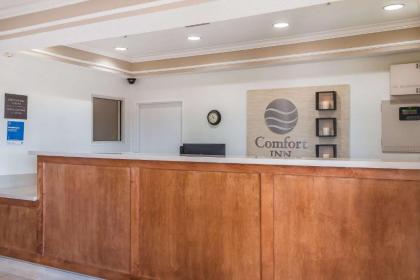 Comfort Inn San Antonio - image 2