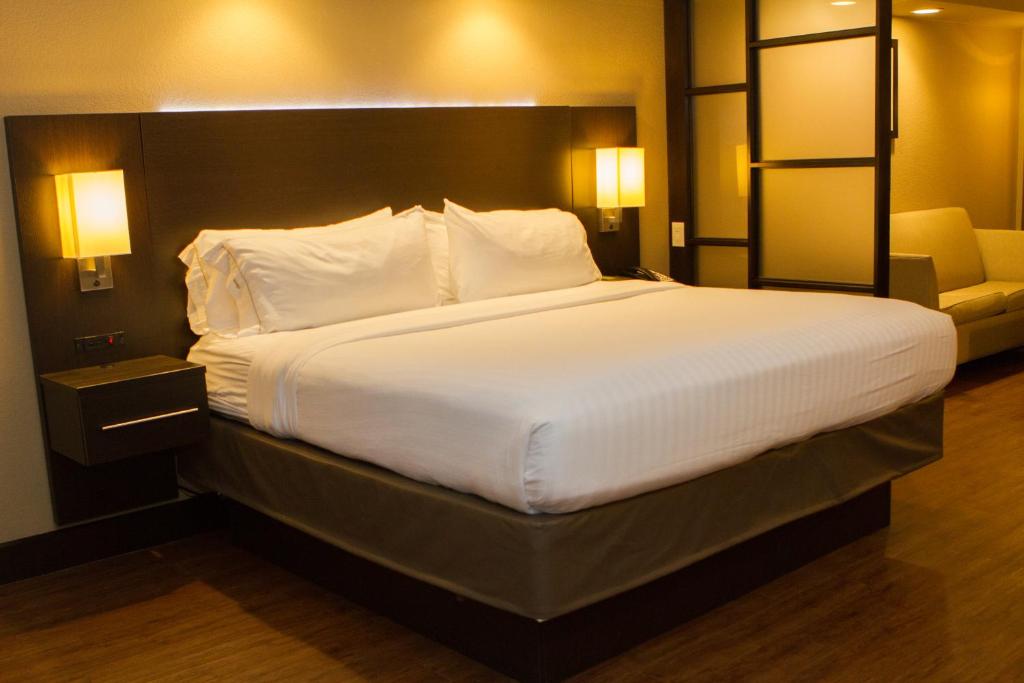 Holiday Inn Express & Suites San Antonio Medical Center North an IHG Hotel - image 3