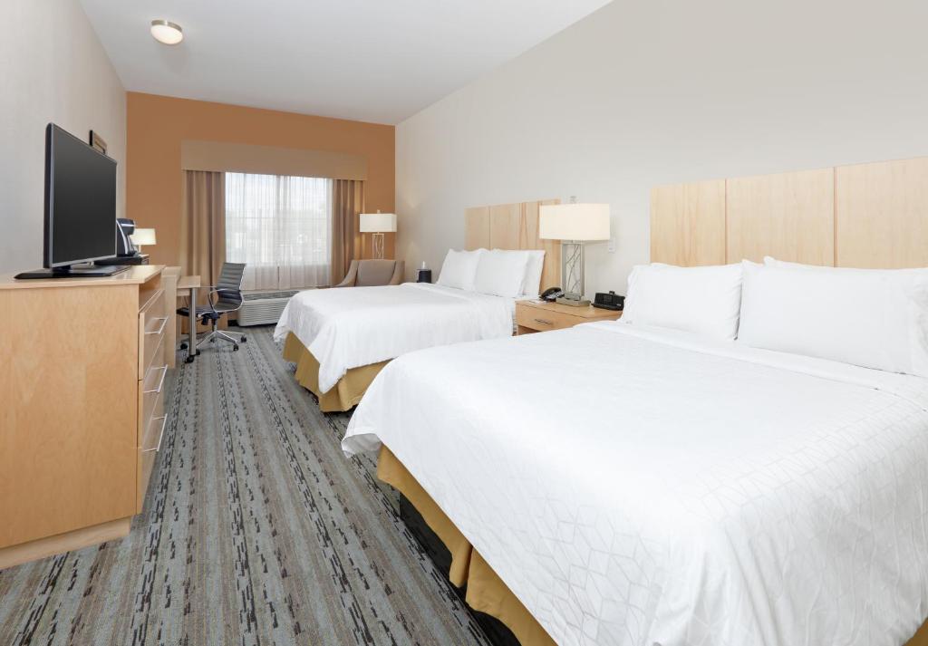 Holiday Inn Express & Suites San Antonio Brooks City Base an IHG Hotel - image 2