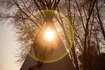 Taos Goji Farm & Eco-Lodge Retreat - image 14