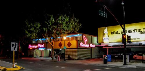The Flamingo Motel - image 2