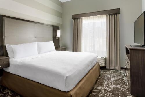 Homewood Suites By Hilton San Jose North - image 5