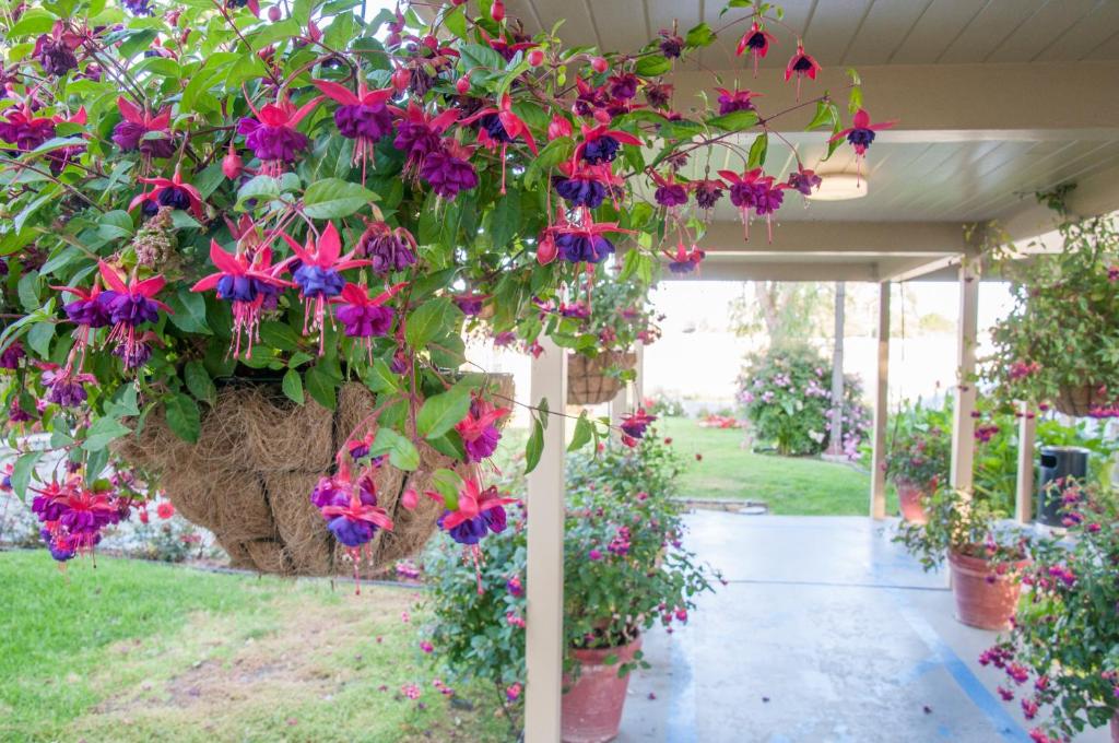 Rose Garden Inn - San Luis Obispo - image 2