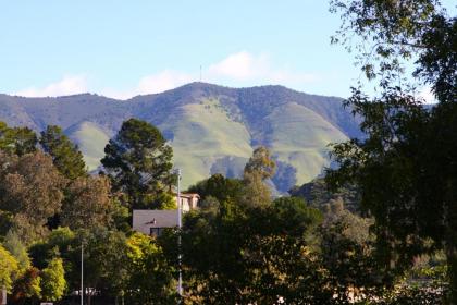 Hotel Buena Vista - San Luis Obispo - image 11