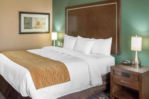 Comfort Inn & Suites San Marcos - image 4