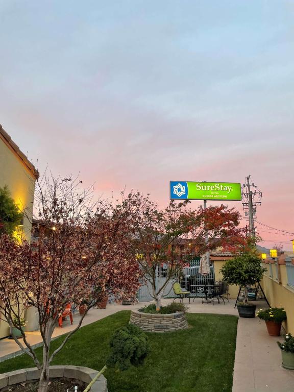 SureStay Hotel by Best Western San Rafael - image 2