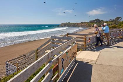 Cavalier Oceanfront Resort - image 15