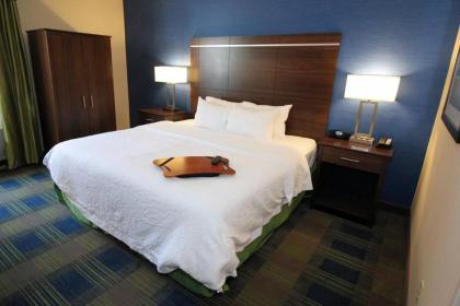 Hampton Inn Sandusky-Central - image 11