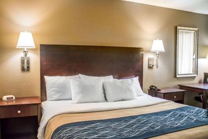 Comfort Inn Sandusky - image 14