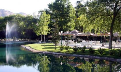 Wonder Valley Ranch Resort - image 7