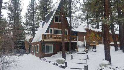 Lucky Bear Lodge - image 2