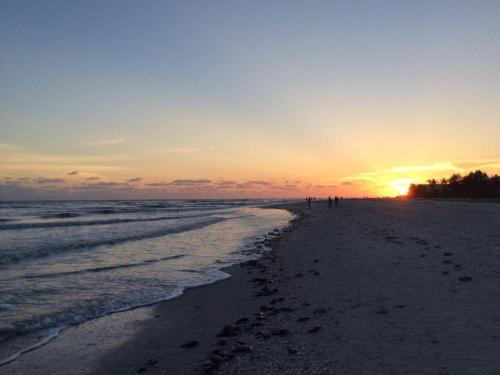 Tarpon Beach 301 - image 5