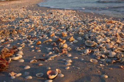 Enjoy shelling & sunsets at condo on quiet west end - Blind Pass E106 - image 16