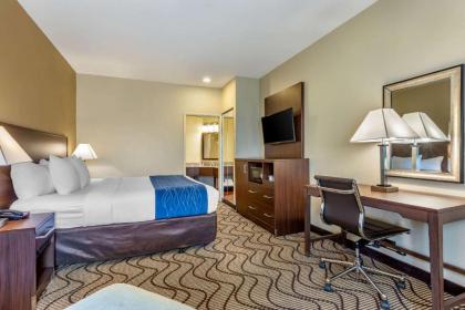 Comfort Inn & Suites Orange County John Wayne Airport - image 9