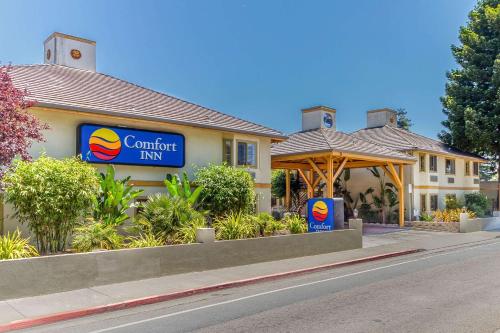 Comfort Inn Santa Cruz - main image