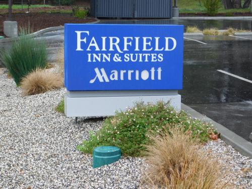 Fairfield Inn & Suites by Marriott Santa Cruz - image 4