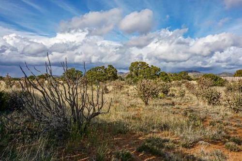 Authentic Santa Fe Adobe Home with Desert Views - image 2