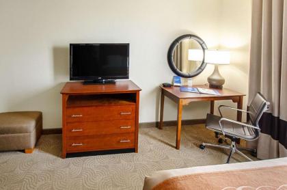 Comfort Inn & Suites Santee - image 11