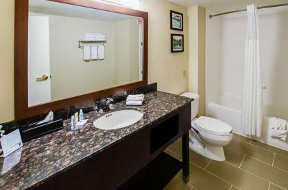 Comfort Inn & Suites Santee - image 3