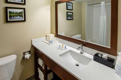 Comfort Inn & Suites Santee - image 5