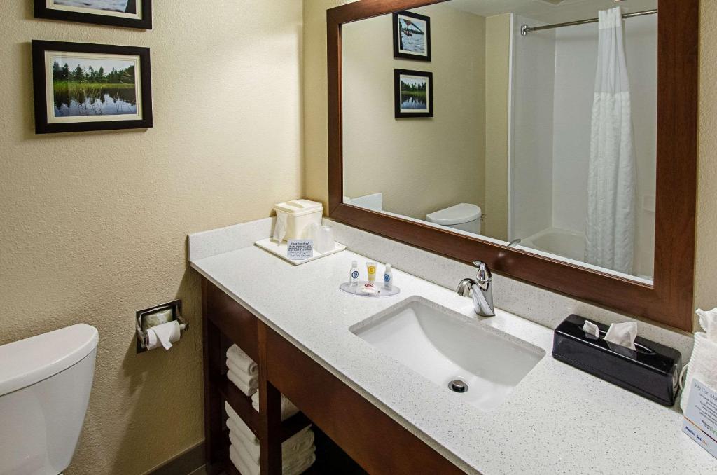 Comfort Inn & Suites Santee - image 5