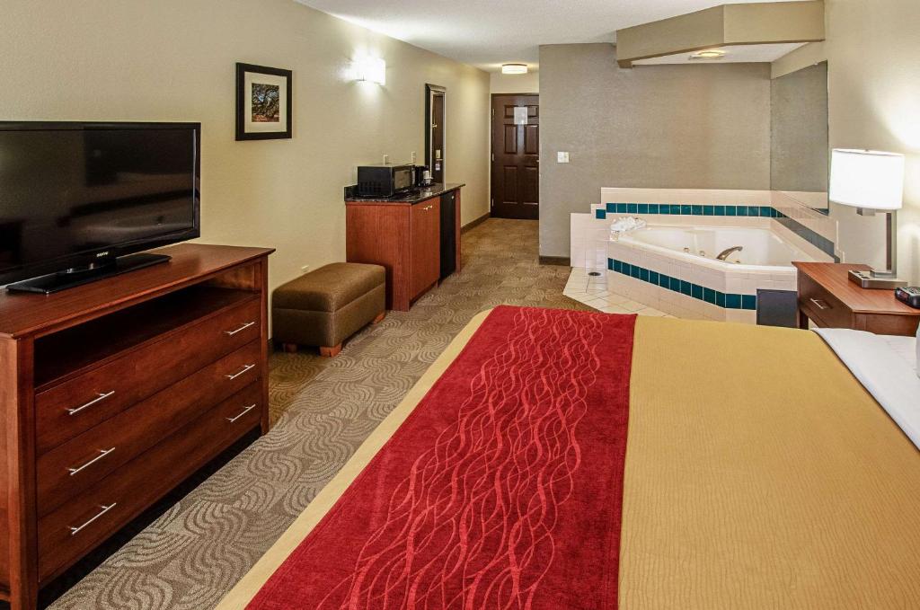 Comfort Inn & Suites Santee - image 7