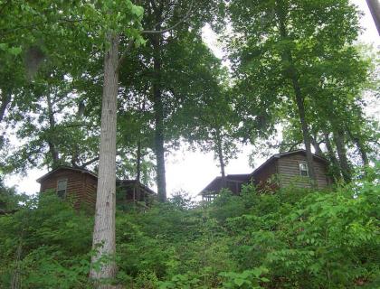 Lake Cabin Resort on Lake Marion in Santee - image 9