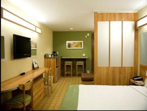 Microtel Inn & Suites by Wyndham Saraland - image 2