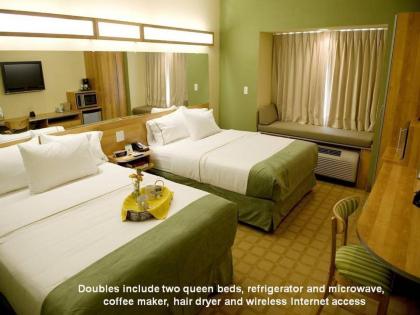 Microtel Inn & Suites by Wyndham Saraland - image 3