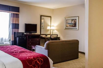 Comfort Suites North Mobile - image 9