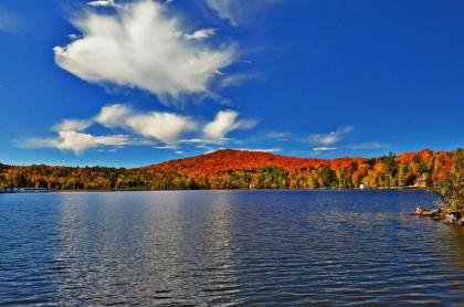 Best Western Saranac Lake - image 5