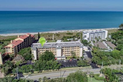 Bay tree Beach Side Sarasota