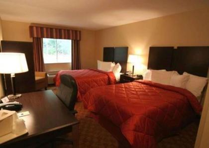 Comfort Inn & Suites Saratoga Springs - image 14