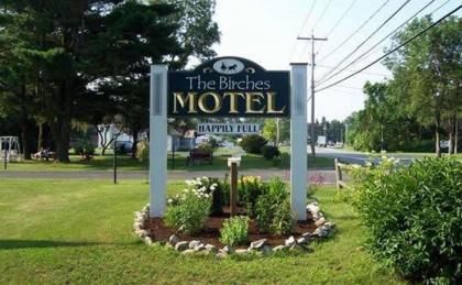 Birches Motel - image 12