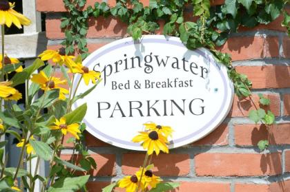 The Springwater Bed and Breakfast - image 3